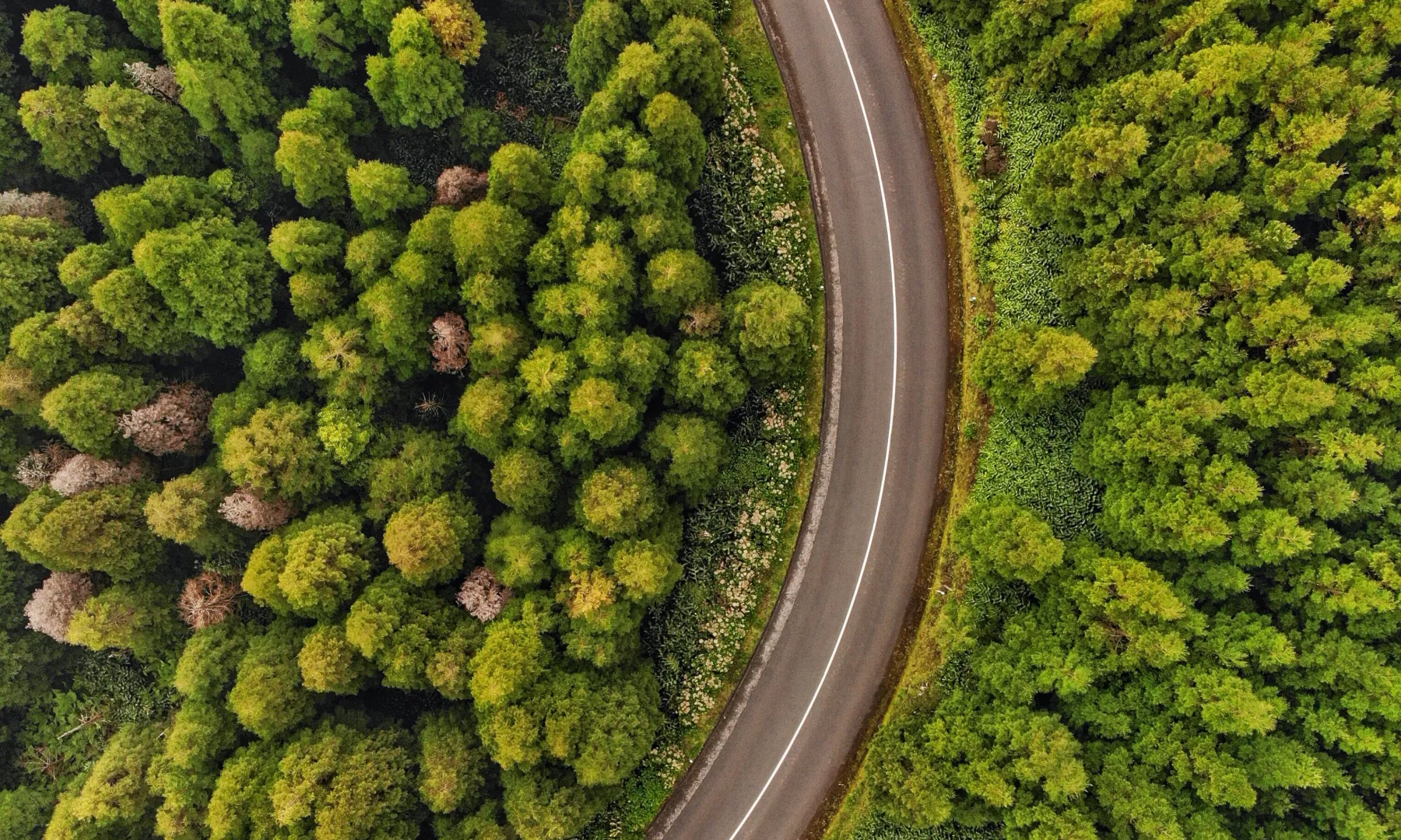 Location in Portugal