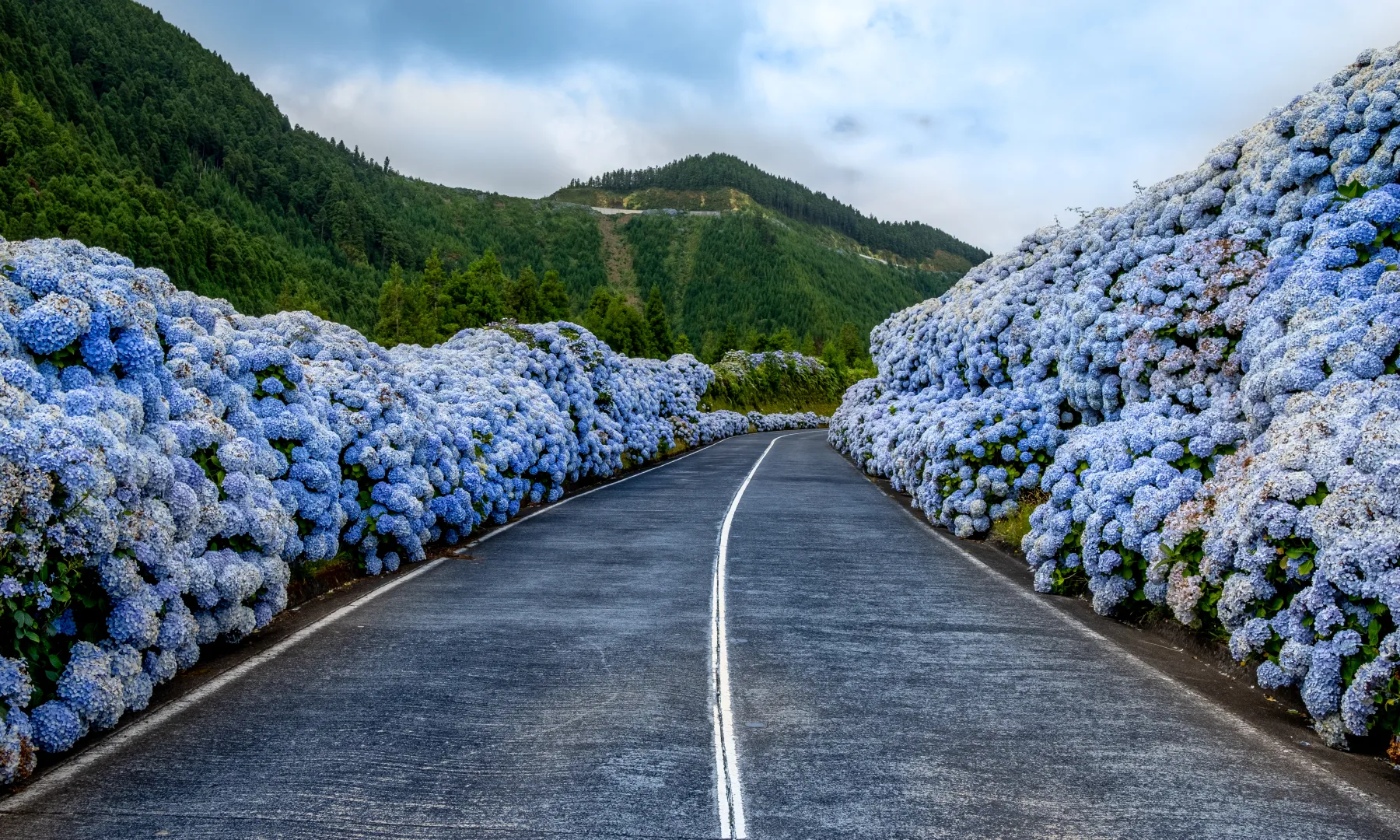Location in Portugal
