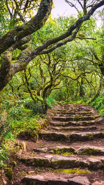 Location in Portugal