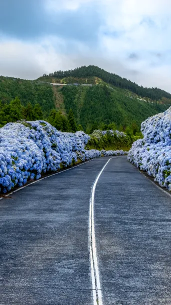 Location in Portugal