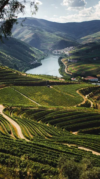 Location in Portugal